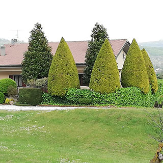 Potatura piante e siepi